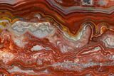 Polished Crazy Lace Agate Slab - Mexico #114834-1